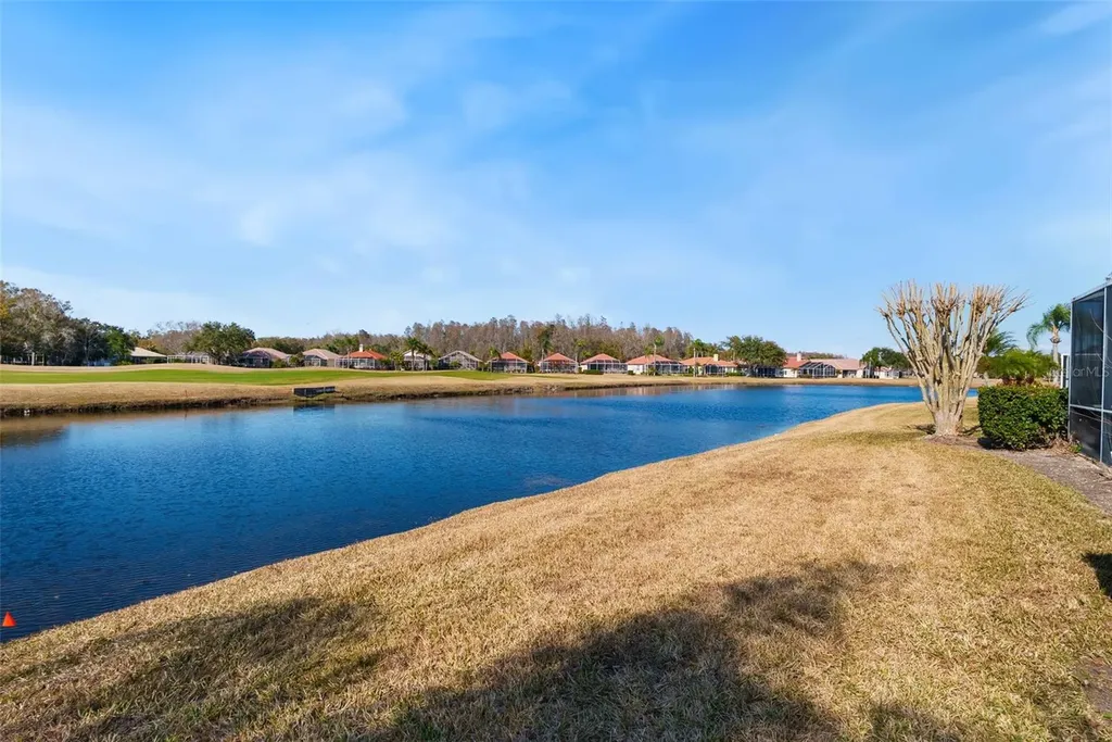 1040 Dartford Drive Tarpon Springs FL 34688