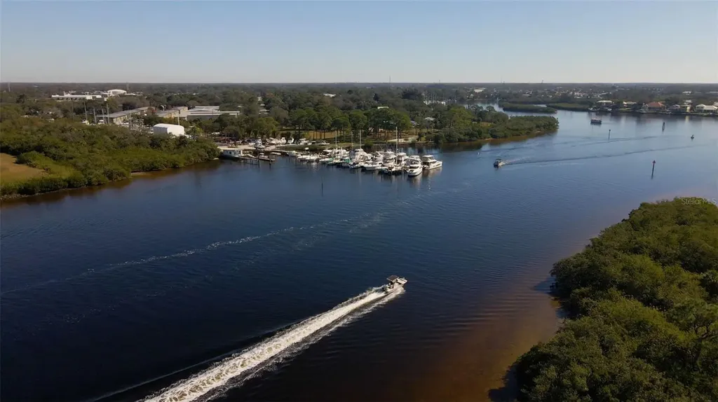 1040 Dartford Drive Tarpon Springs FL 34688
