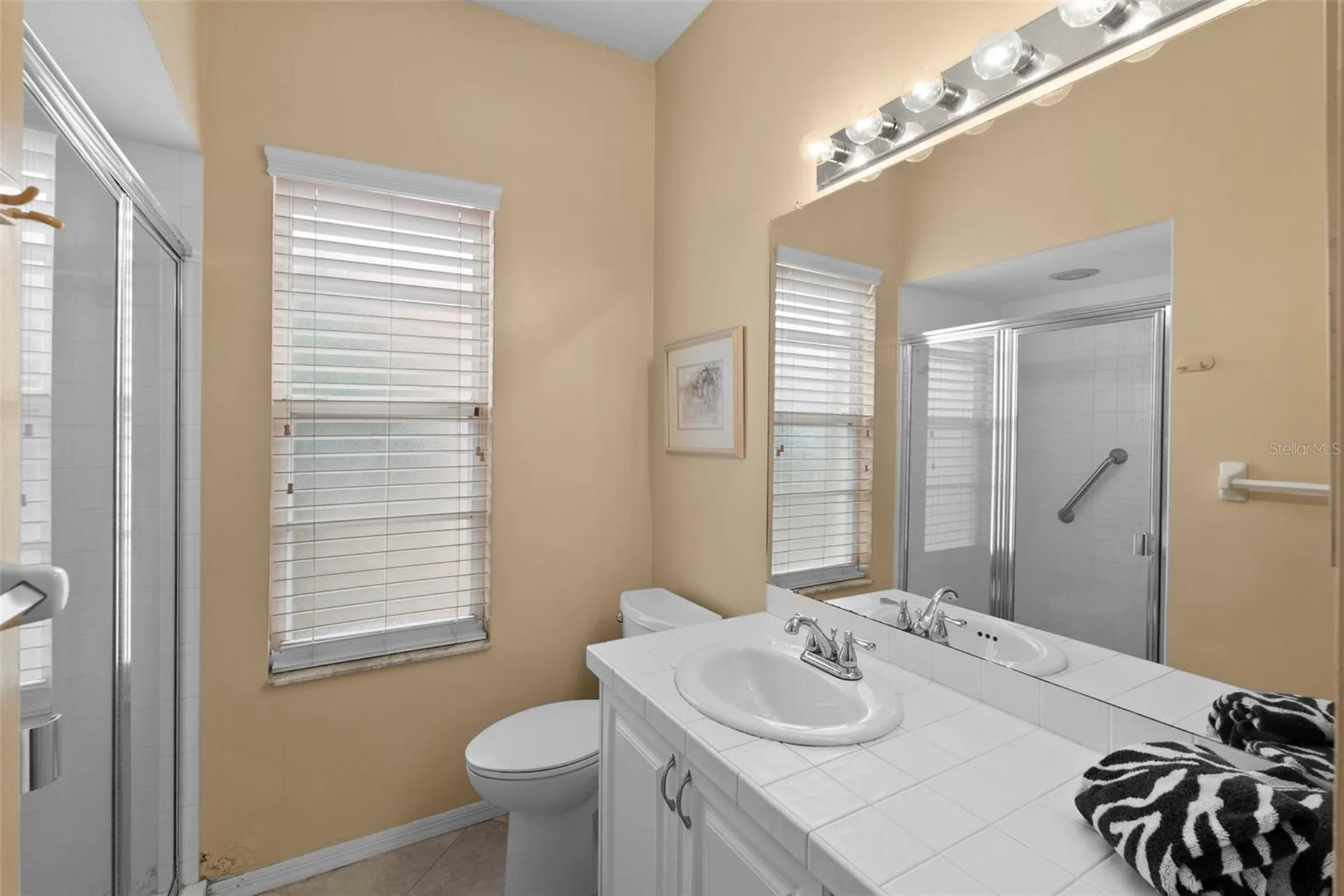 1040 Dartford Drive Tarpon Springs FL 34688