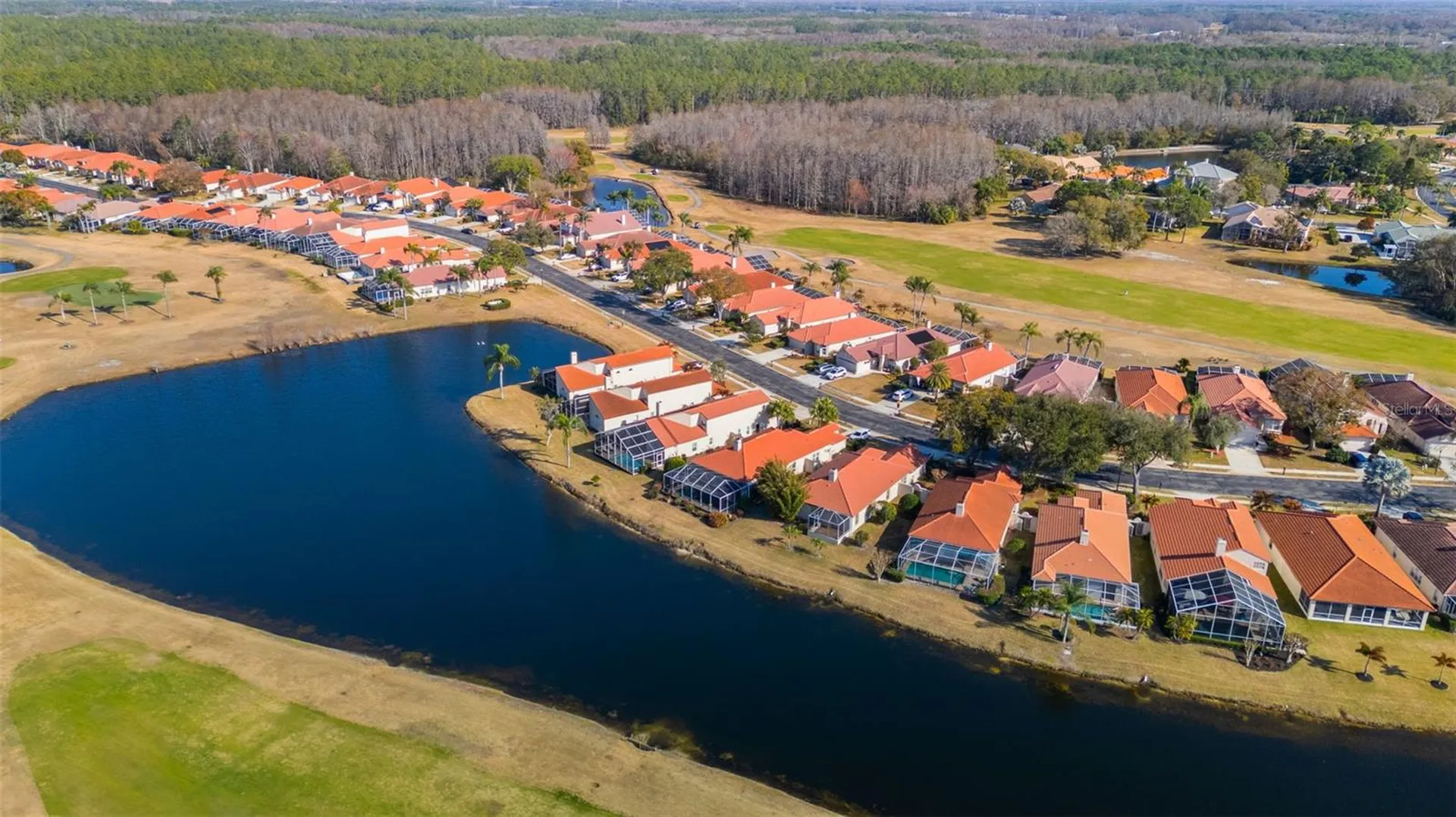 1040 Dartford Drive Tarpon Springs FL 34688