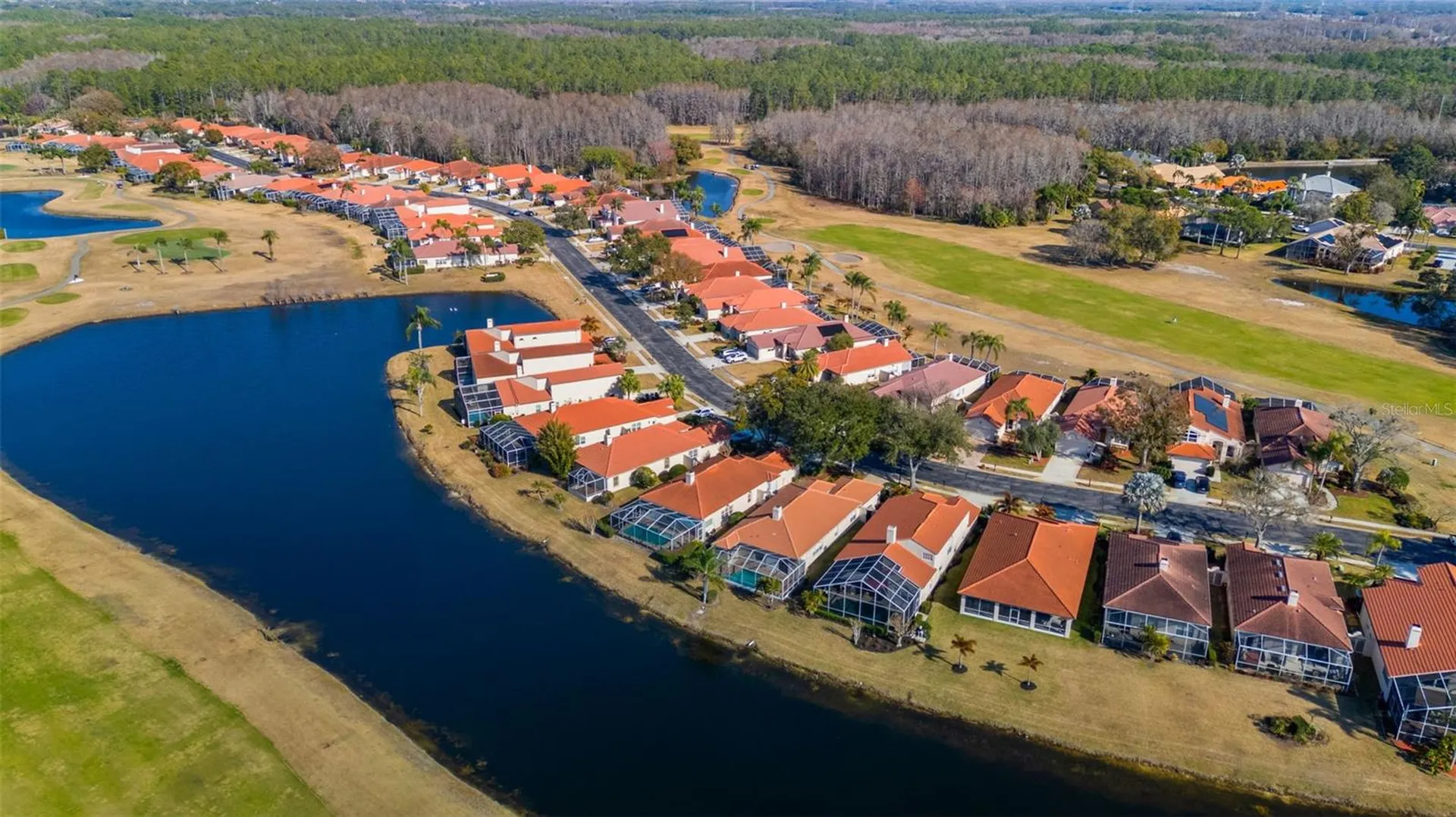 1040 Dartford Drive Tarpon Springs FL 34688