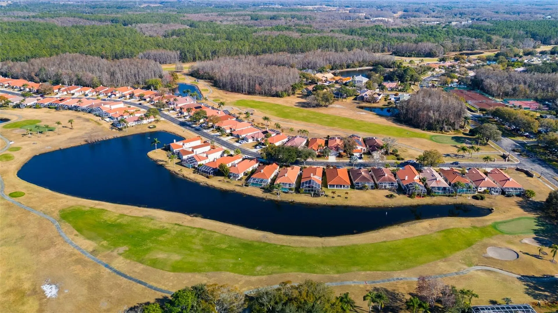 1040 Dartford Drive Tarpon Springs FL 34688