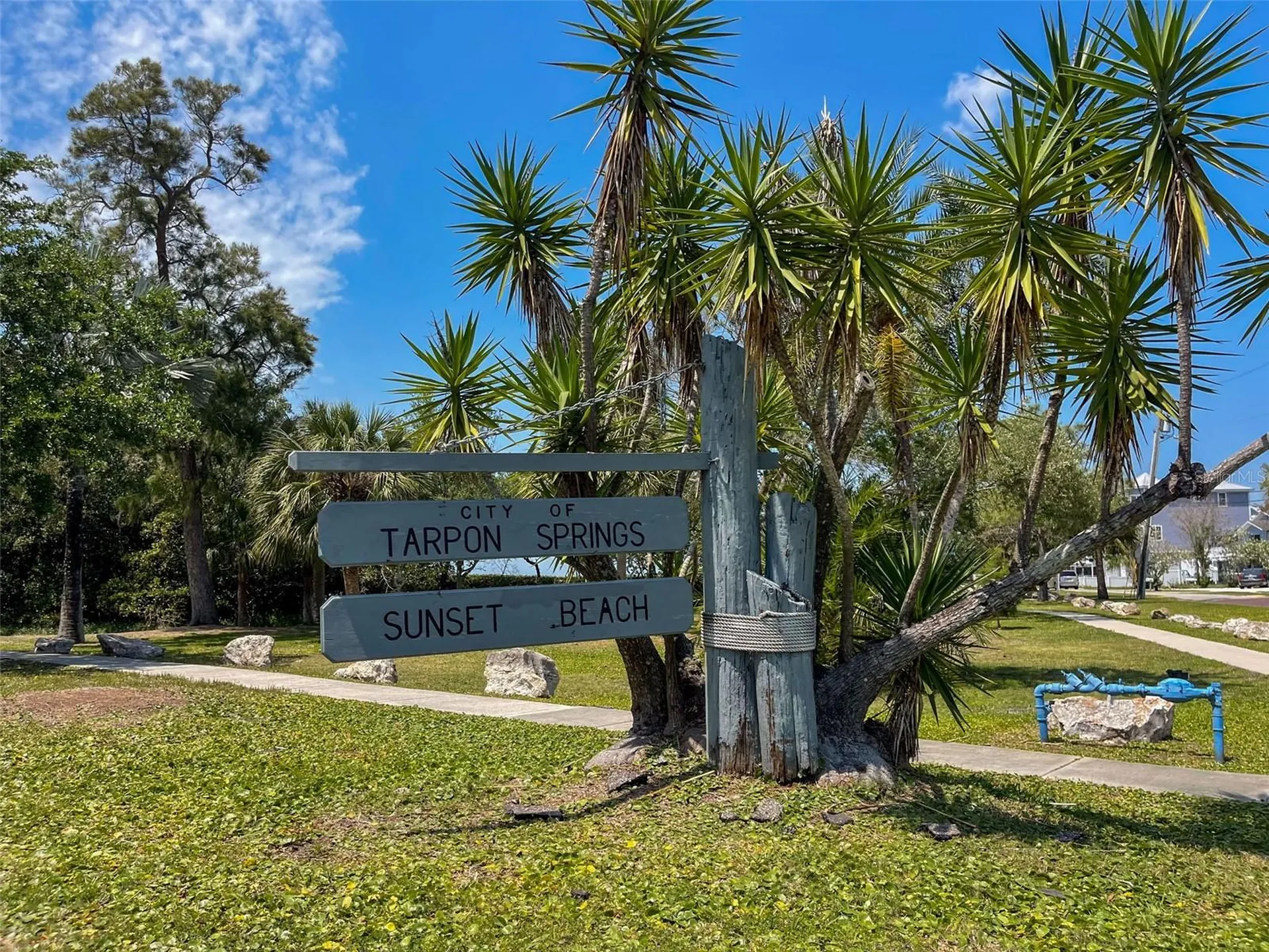 1040 Dartford Drive Tarpon Springs FL 34688