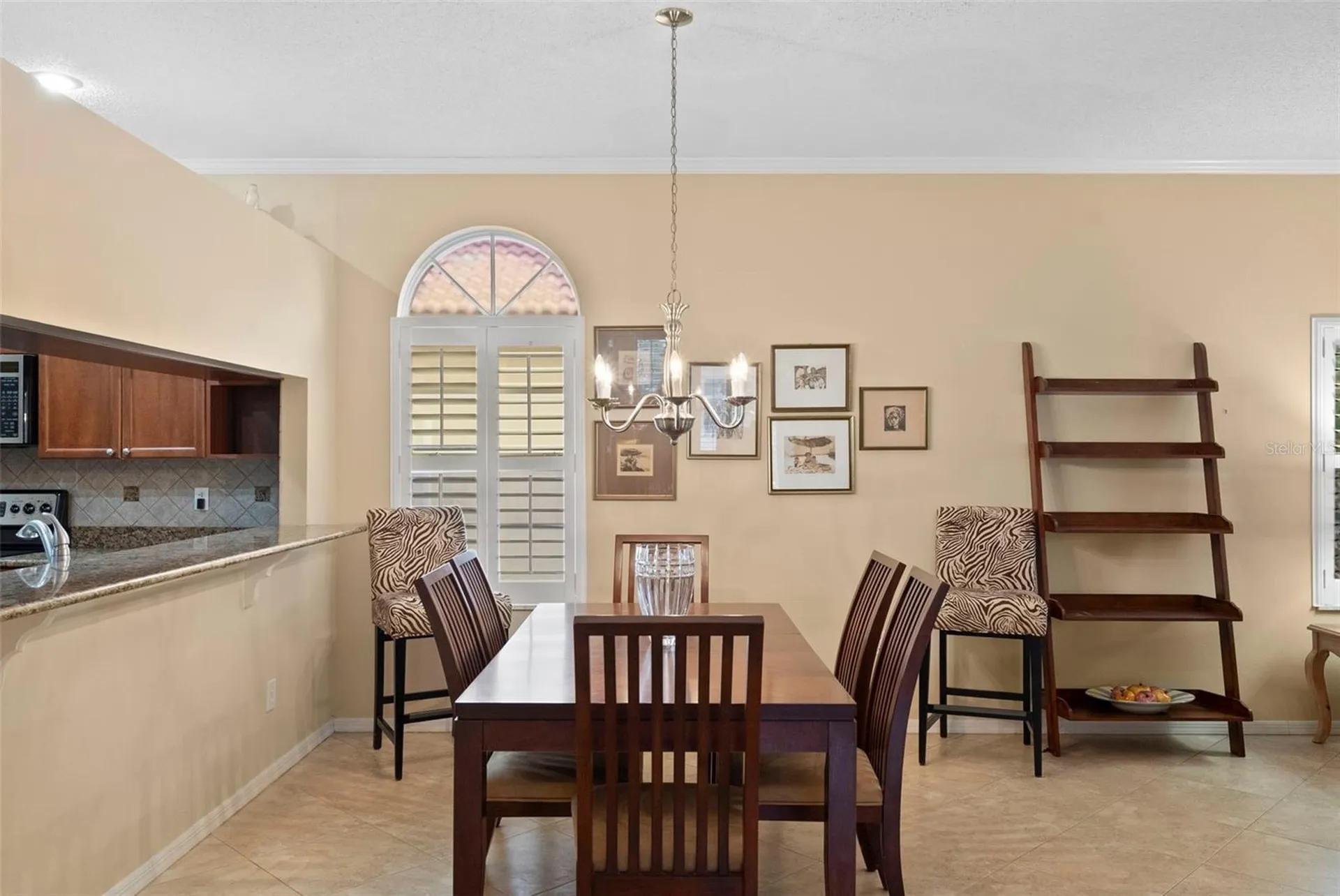 1040 Dartford Drive Tarpon Springs FL 34688