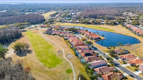 1040 Dartford Drive Tarpon Springs FL 34688