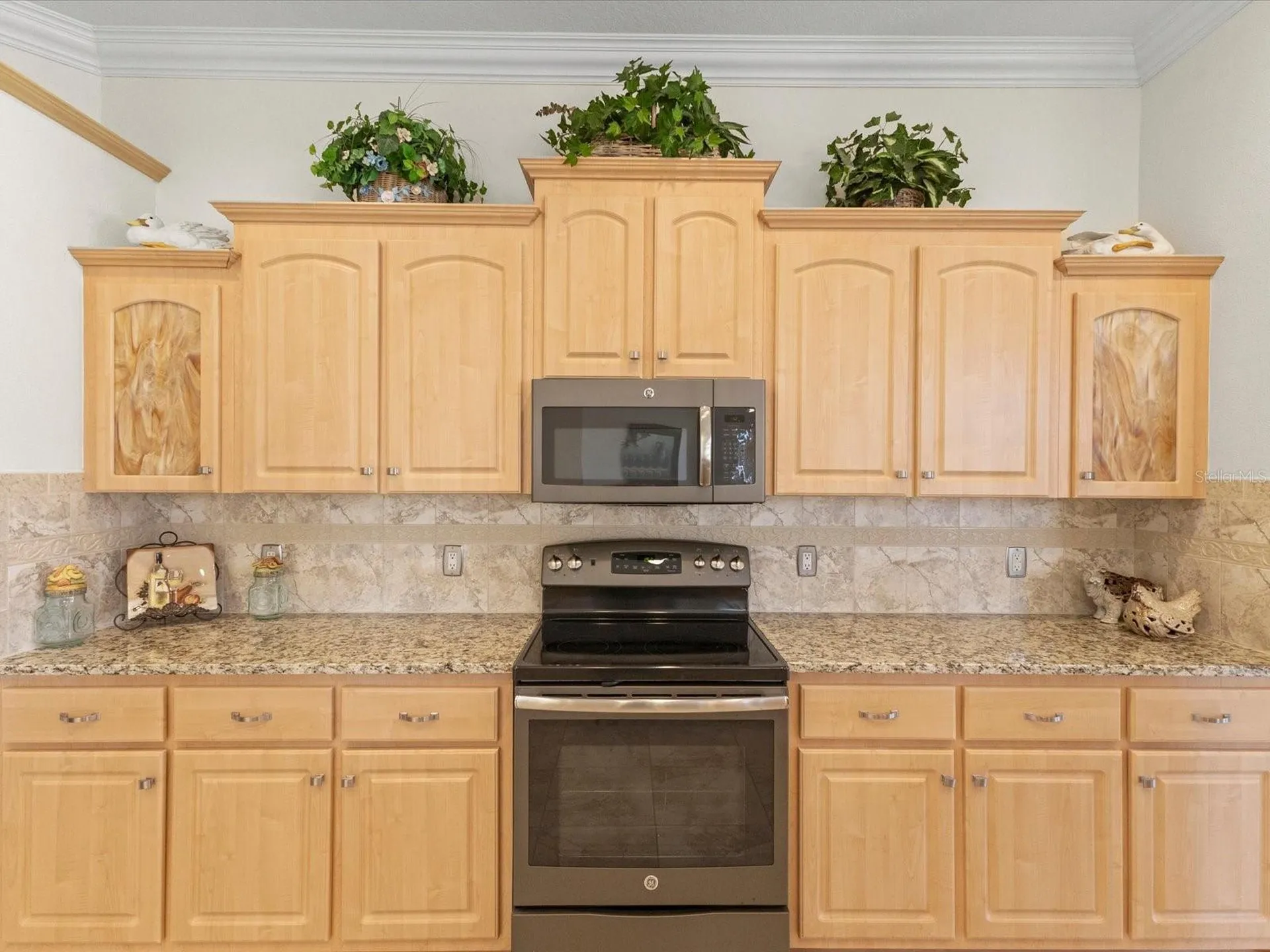 13417 Whitehaven Court Spring Hill FL 34609