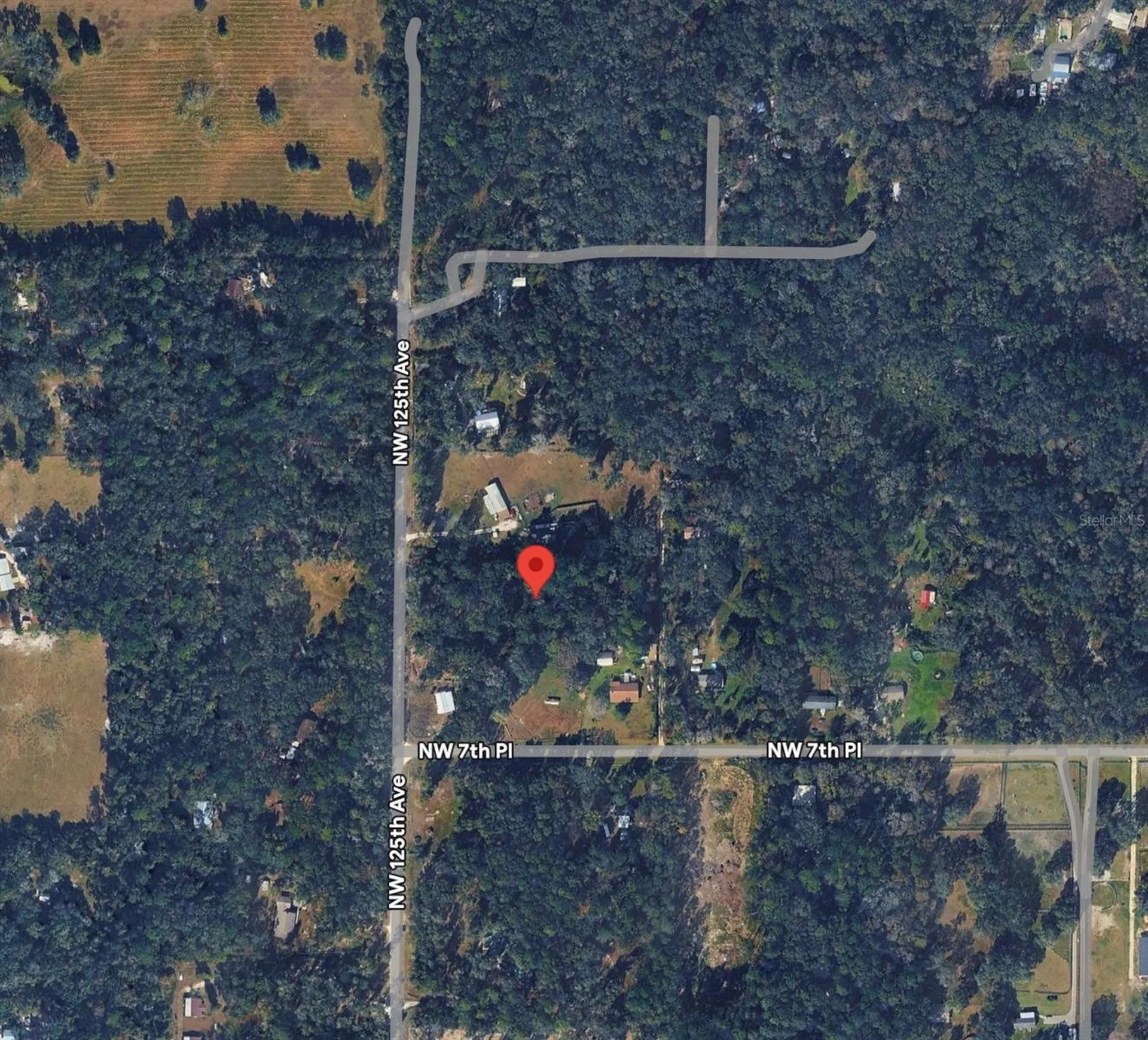 841 NW 125th Avenue Ocala FL 34482
