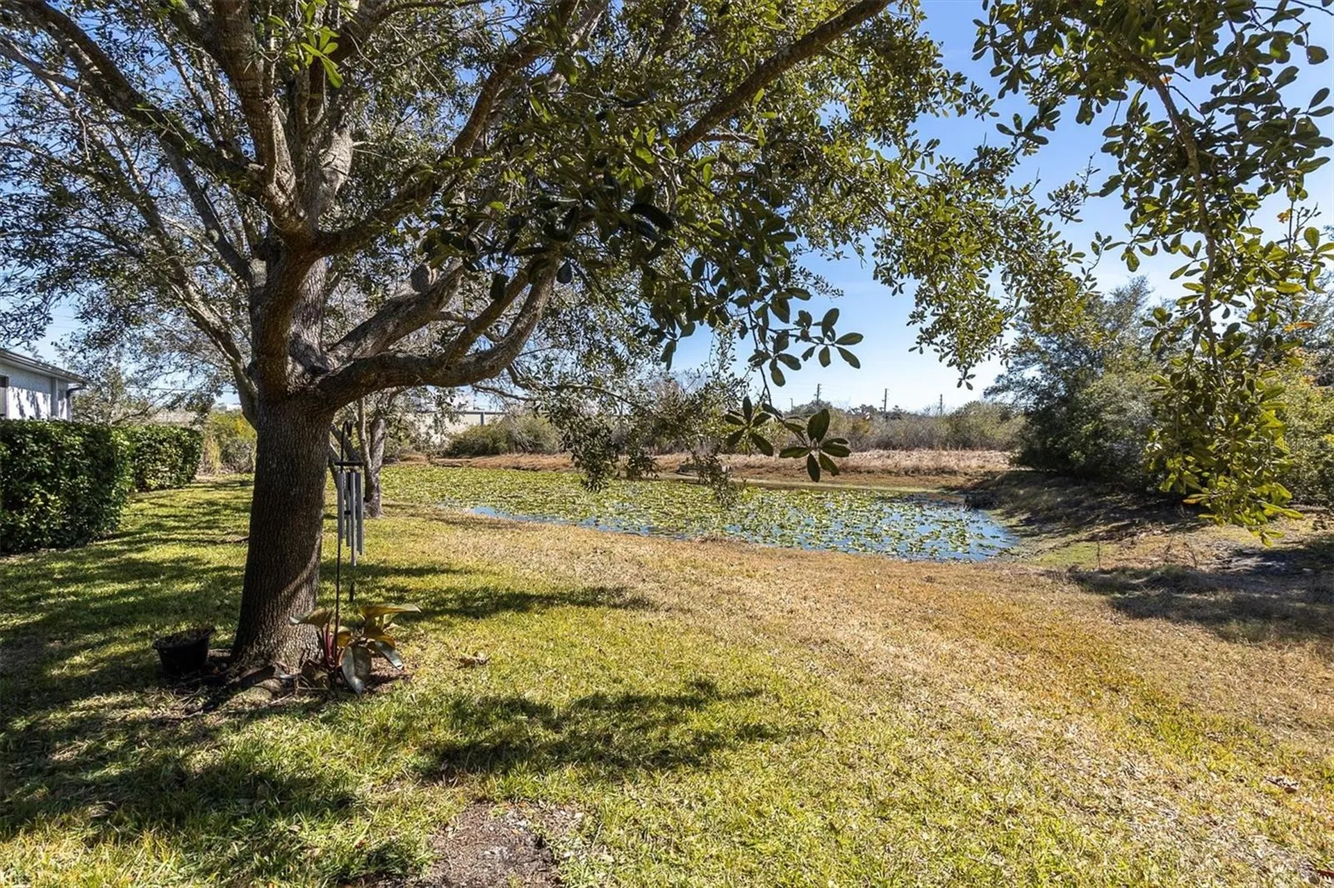 11222 Port Douglas Drive New Port Richey FL 34654