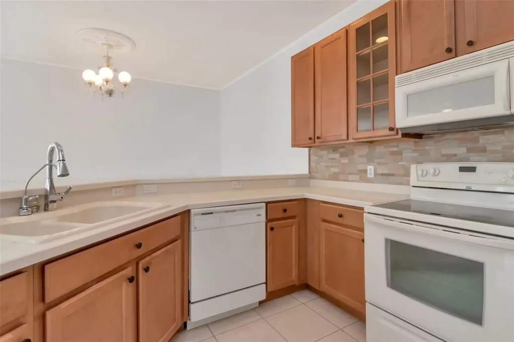 125 Shell Falls Drive Apollo Beach FL 33572