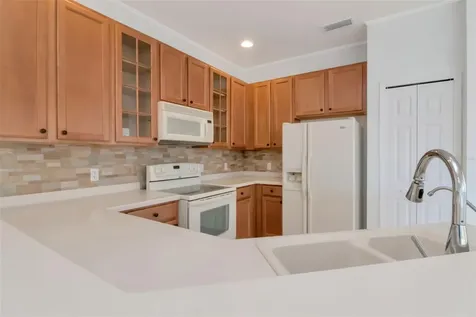 125 Shell Falls Drive Apollo Beach FL 33572