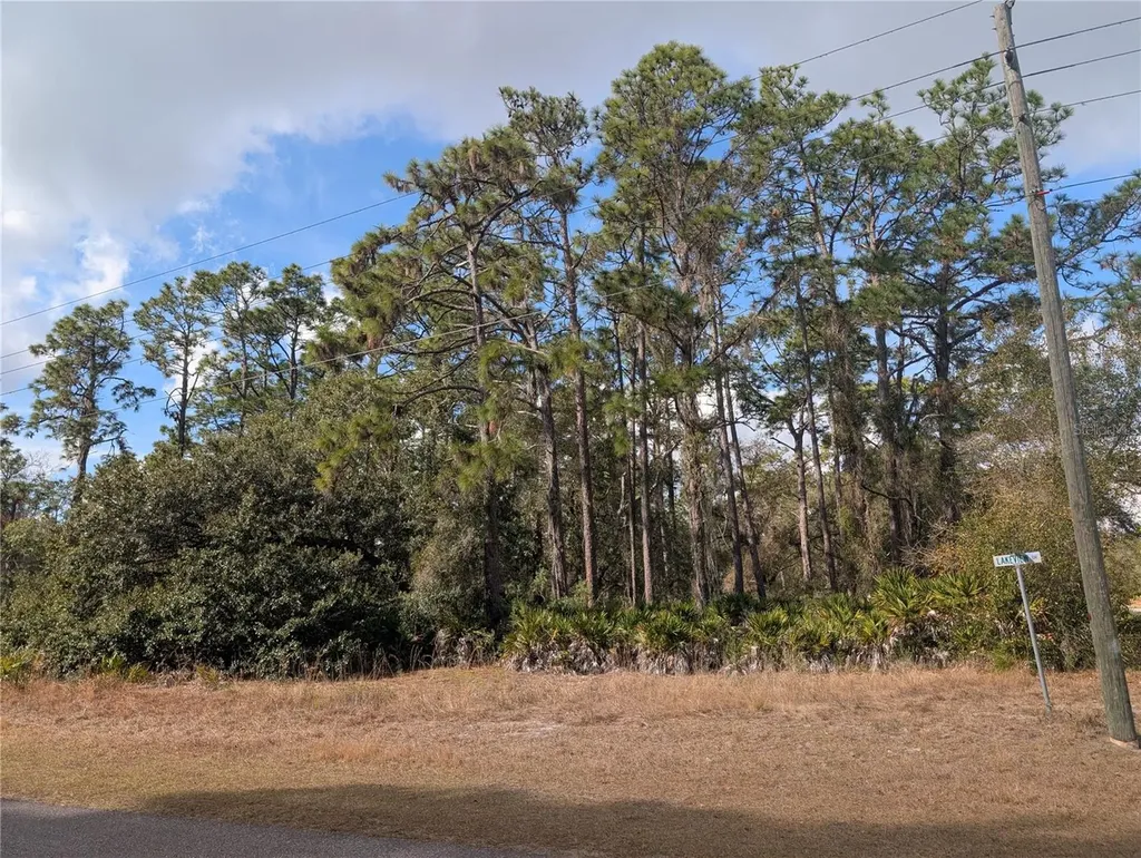 Allamanda Drive Indian Lake Estates FL 33855