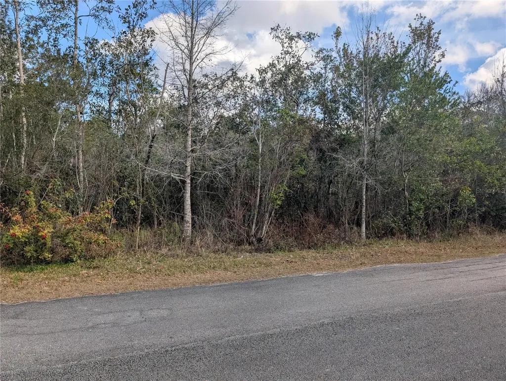 Allamanda Drive Indian Lake Estates FL 33855