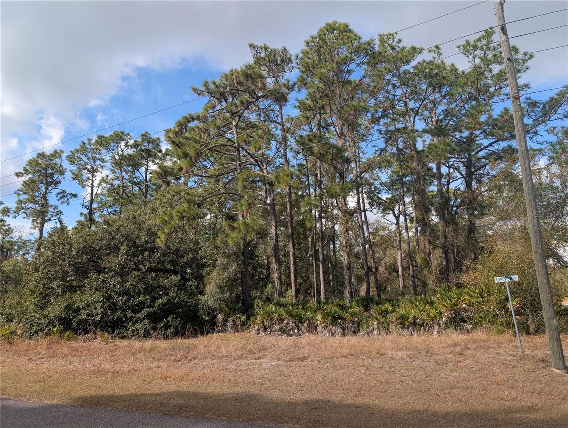 Allamanda Drive Indian Lake Estates FL 33855
