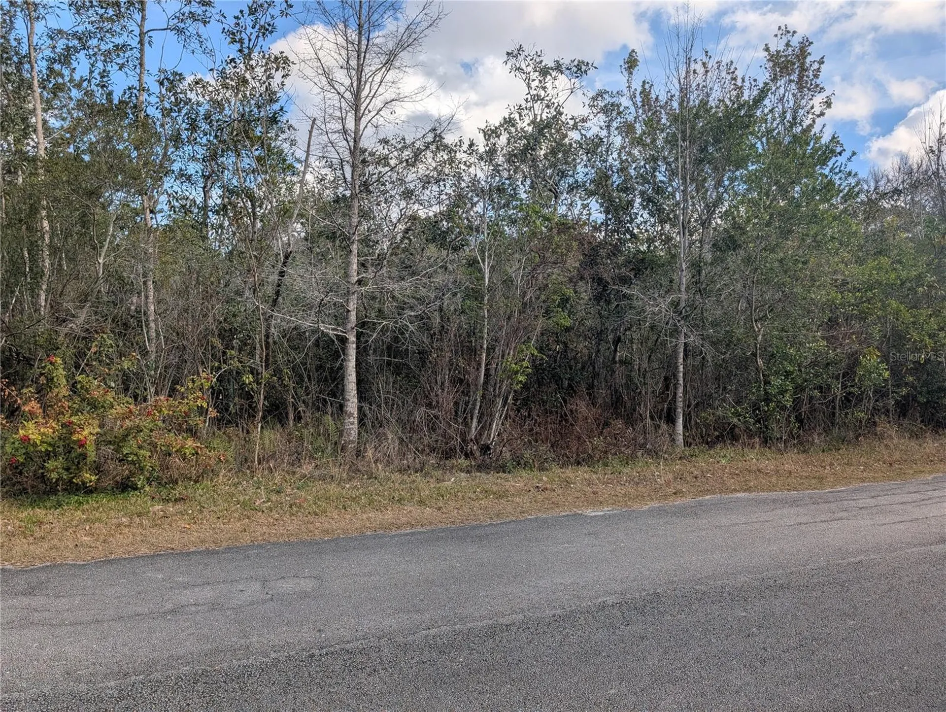 Allamanda Drive Indian Lake Estates FL 33855