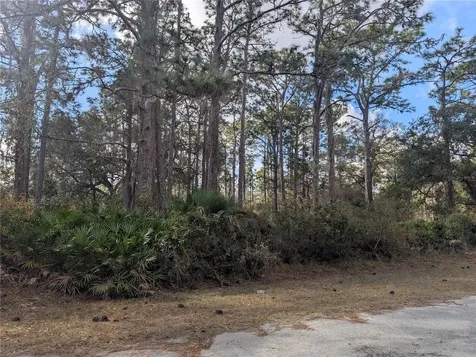 Allamanda Drive Indian Lake Estates FL 33855