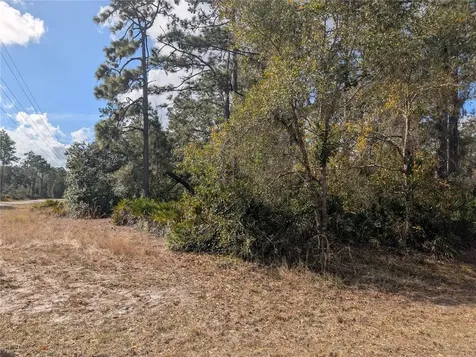 Allamanda Drive Indian Lake Estates FL 33855