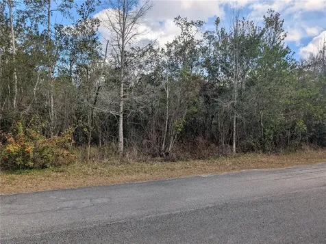 Allamanda Drive Indian Lake Estates FL 33855