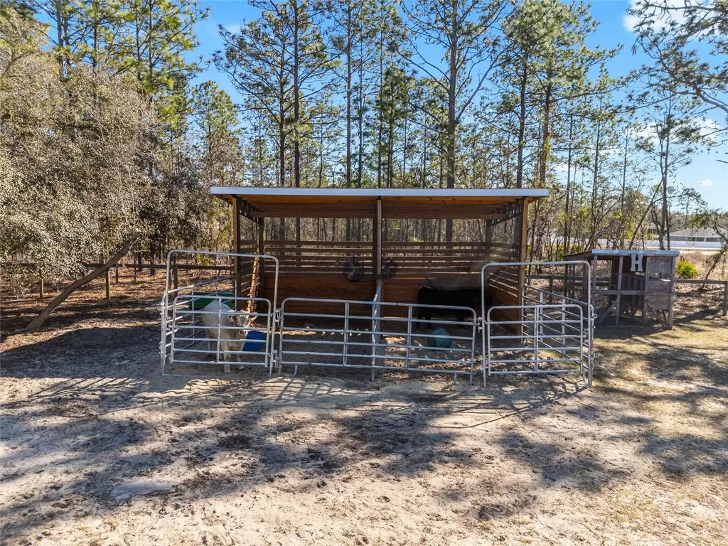 8855 SW 129th Terrace Road Dunnellon FL 34432