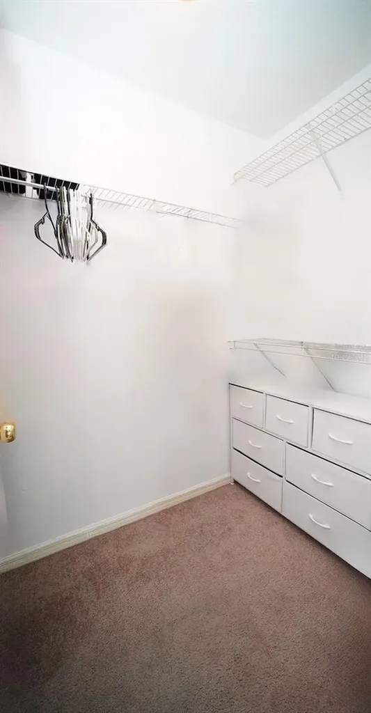 10023 Tate Lane Tampa FL 33626