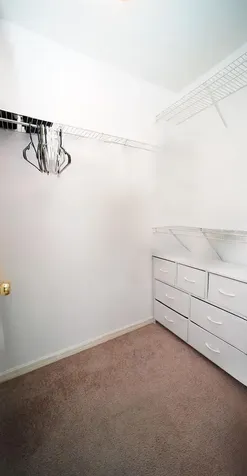 10023 Tate Lane Tampa FL 33626