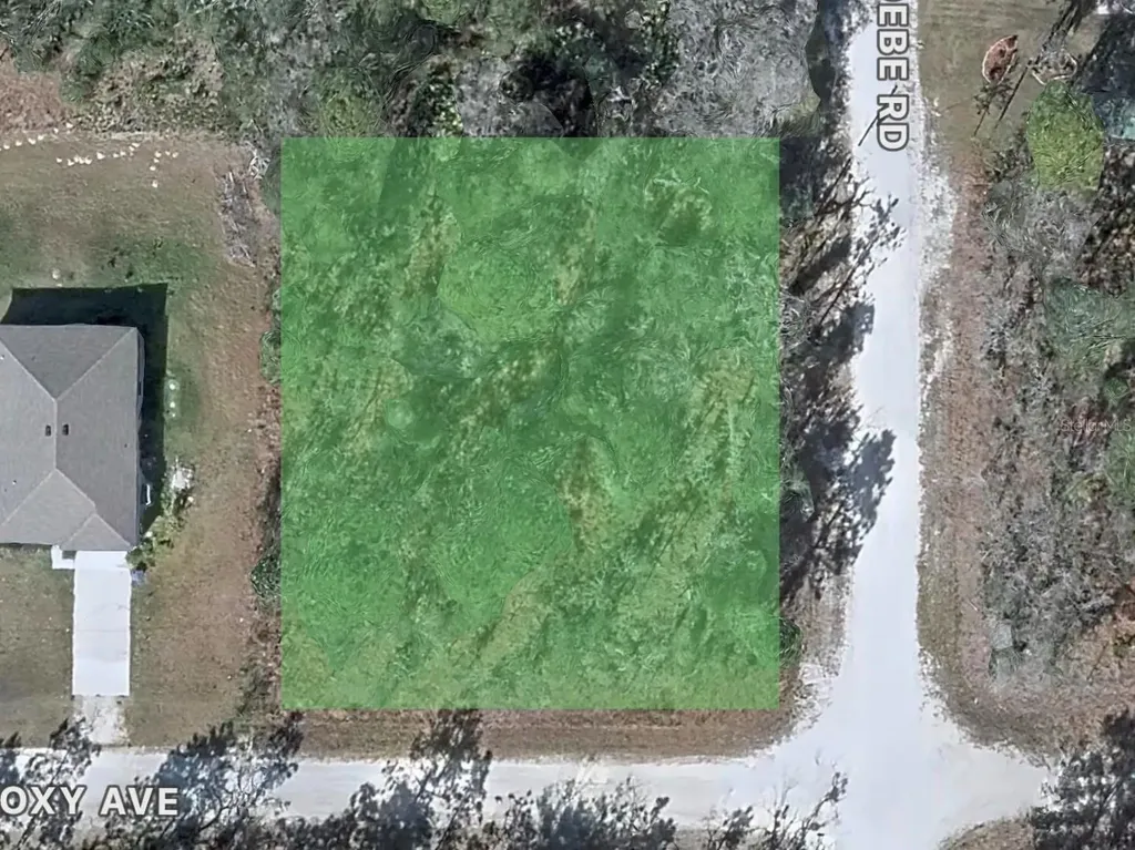 14135 Eastern Phoebe Road Brooksville FL 34614