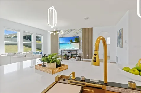 14416 Travois Way Winter Garden FL 34787