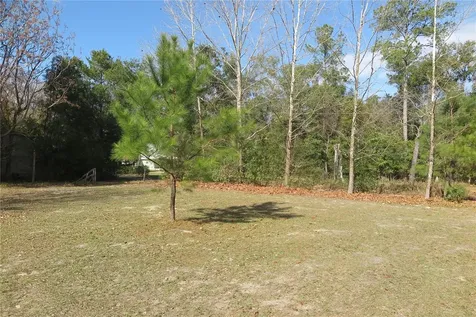 21315 NE 35th Place Hawthorne FL 32640