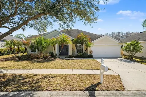 26000 Risen Star Drive Wesley Chapel FL 33544