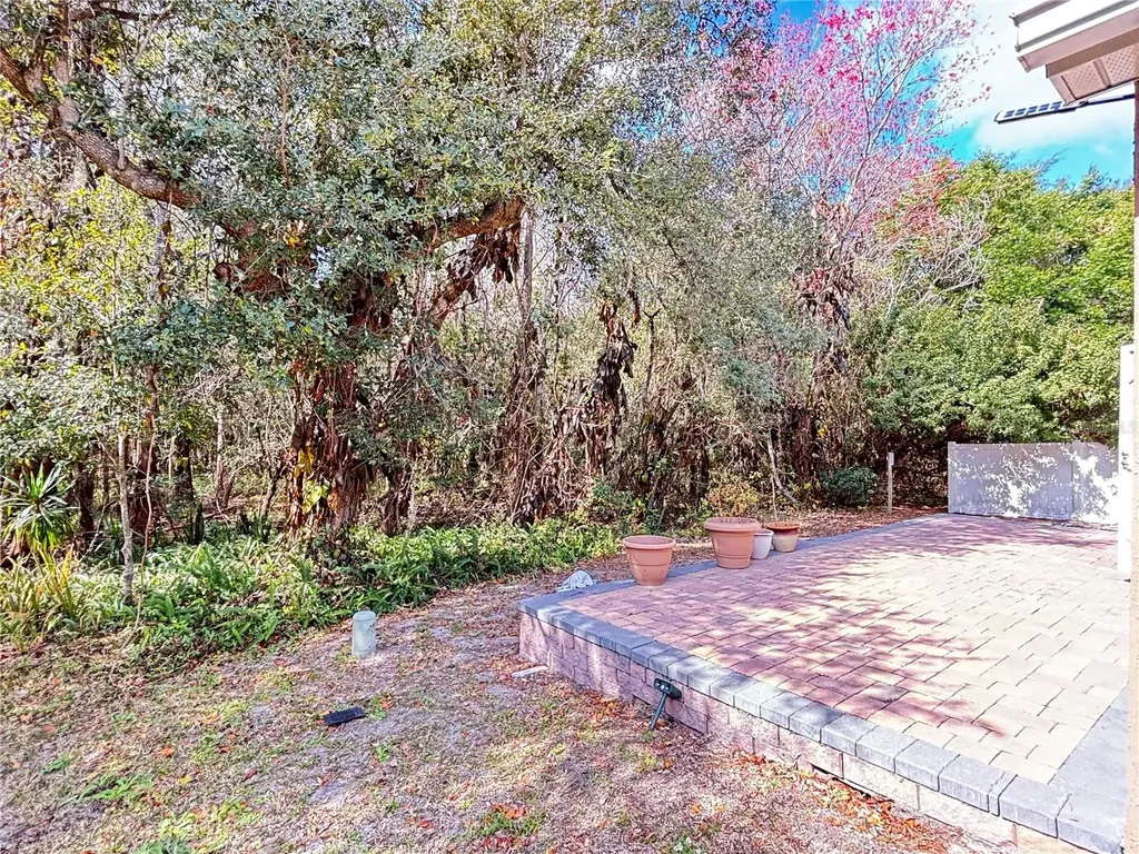2346 Lily Pad Lane Kissimmee FL 34743