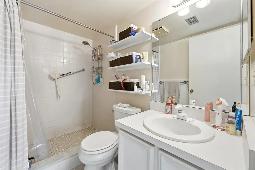 110 N Tremain Street Mount Dora FL 32757