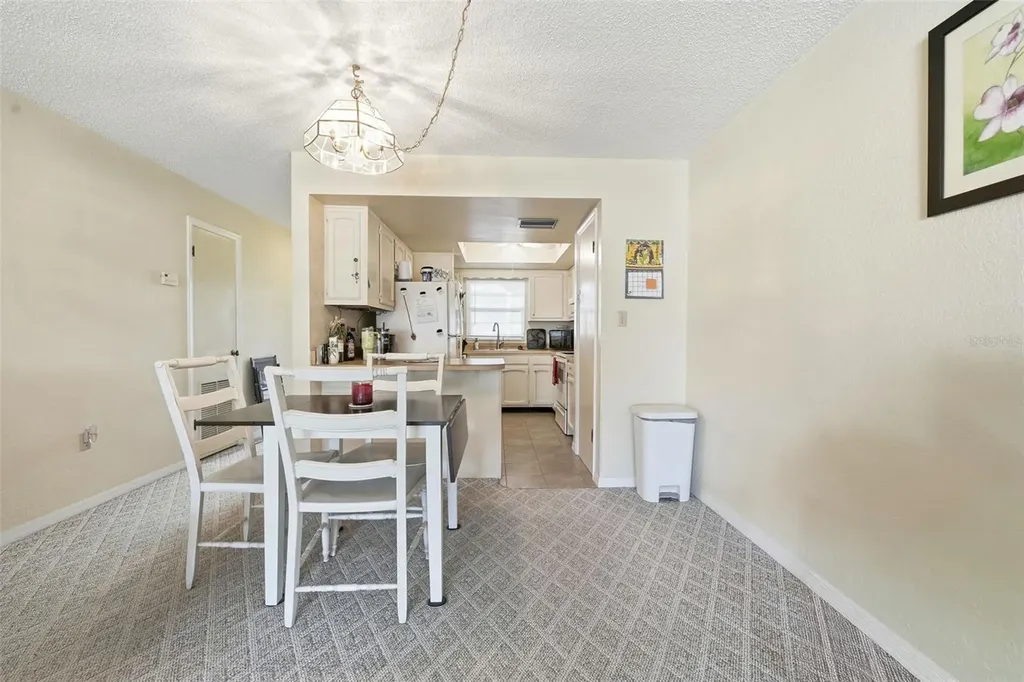 110 N Tremain Street Mount Dora FL 32757