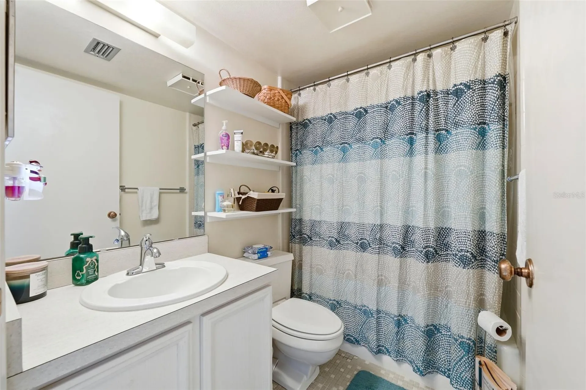 110 N Tremain Street Mount Dora FL 32757