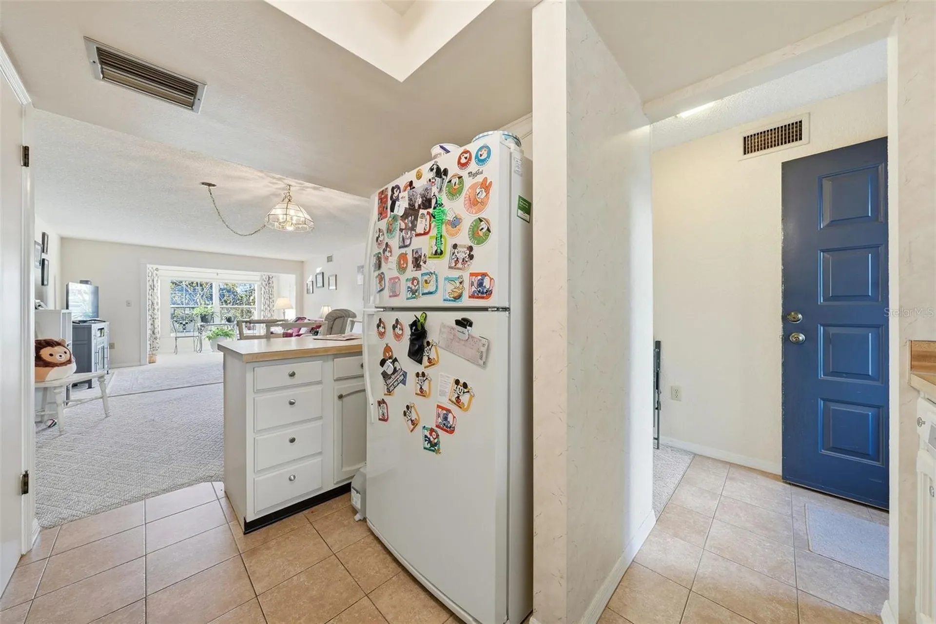 110 N Tremain Street Mount Dora FL 32757