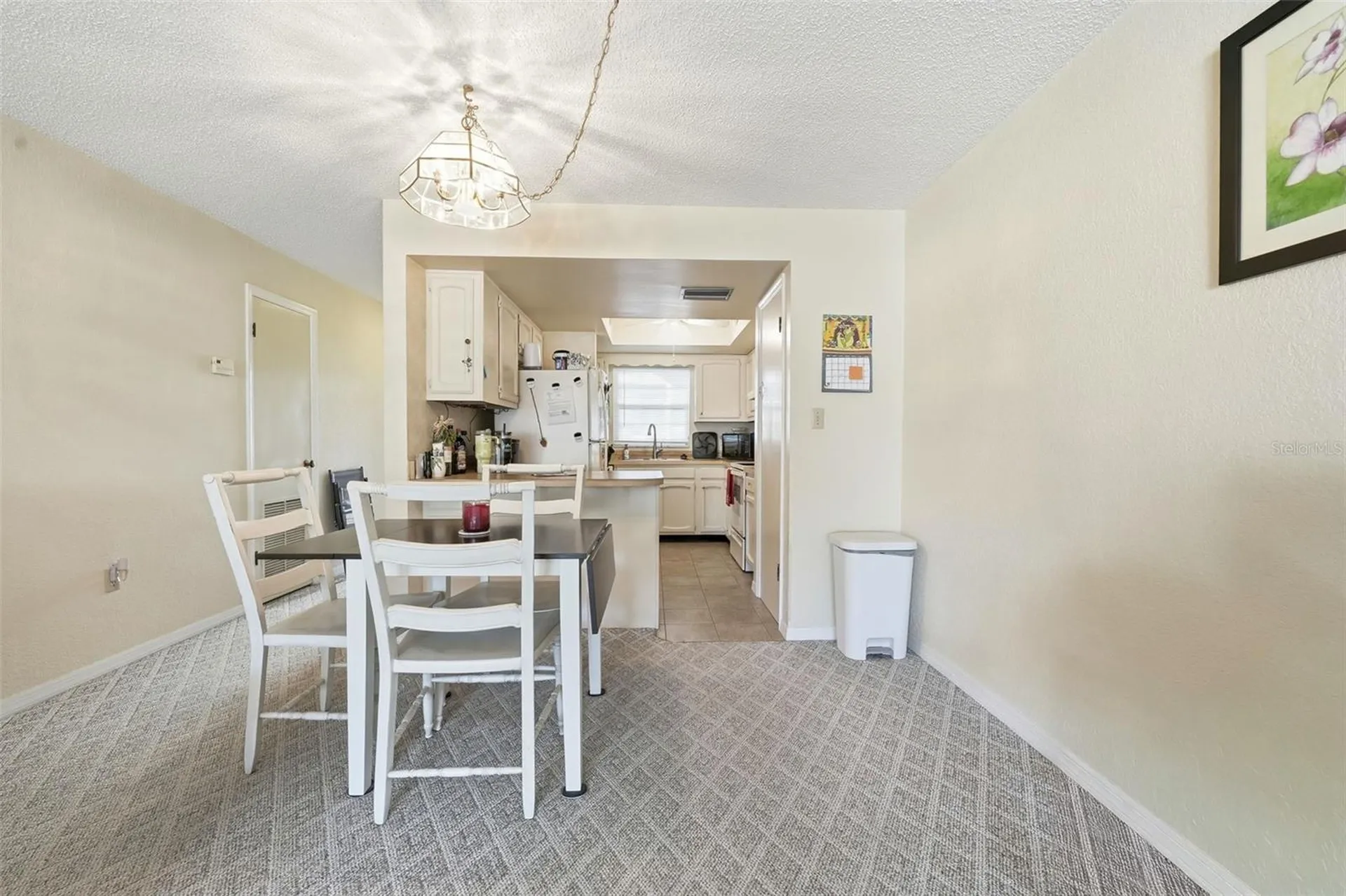 110 N Tremain Street Mount Dora FL 32757