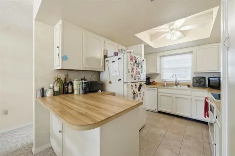 110 N Tremain Street Mount Dora FL 32757