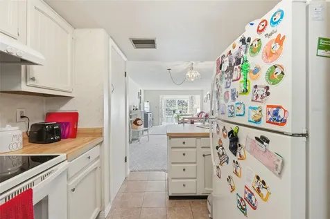 110 N Tremain Street Mount Dora FL 32757