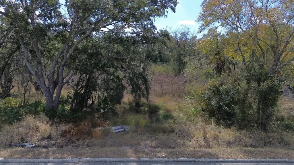 0 Diana Street Tampa FL 33610