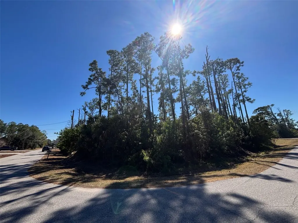 0 Evangelina Lane & Toluca Terrace Lots #23 & 24 North Port FL 34286