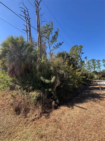 0 Evangelina Lane & Toluca Terrace Lots #23 & 24 North Port FL 34286