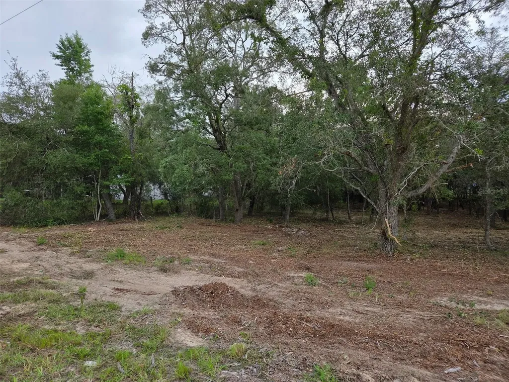 21531 SE 68th Lane Morriston FL 32668