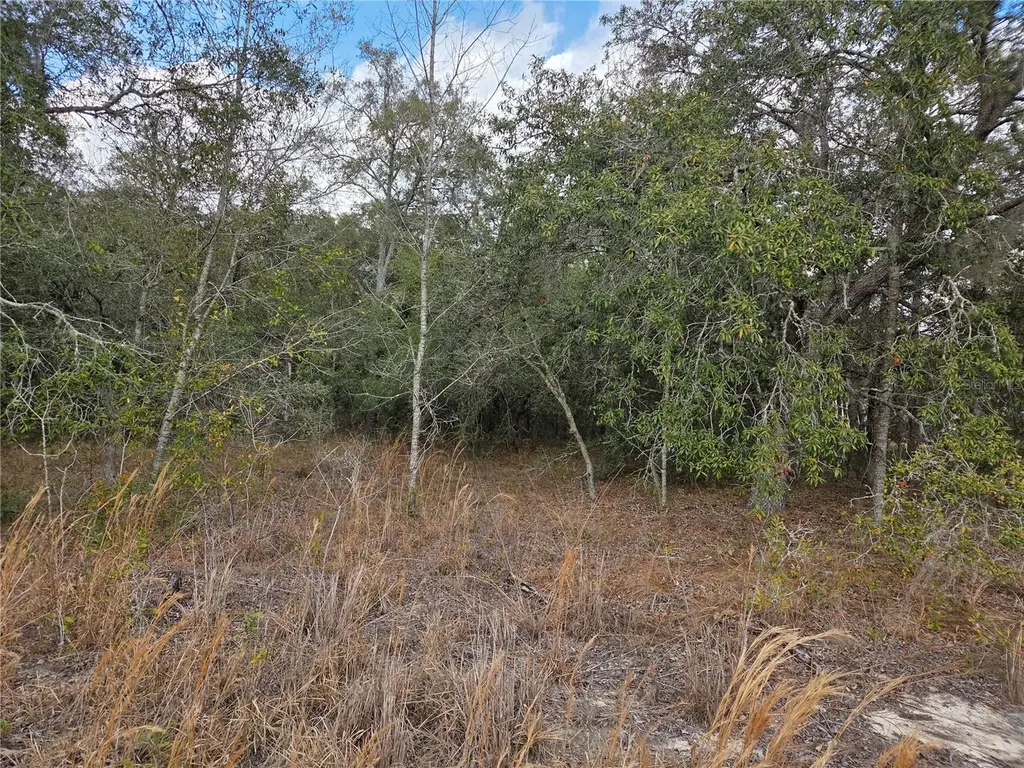 21531 SE 68th Lane Morriston FL 32668