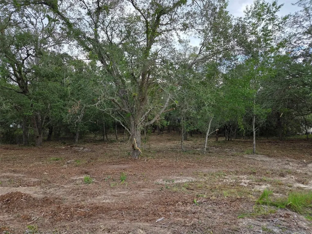 21531 SE 68th Lane Morriston FL 32668