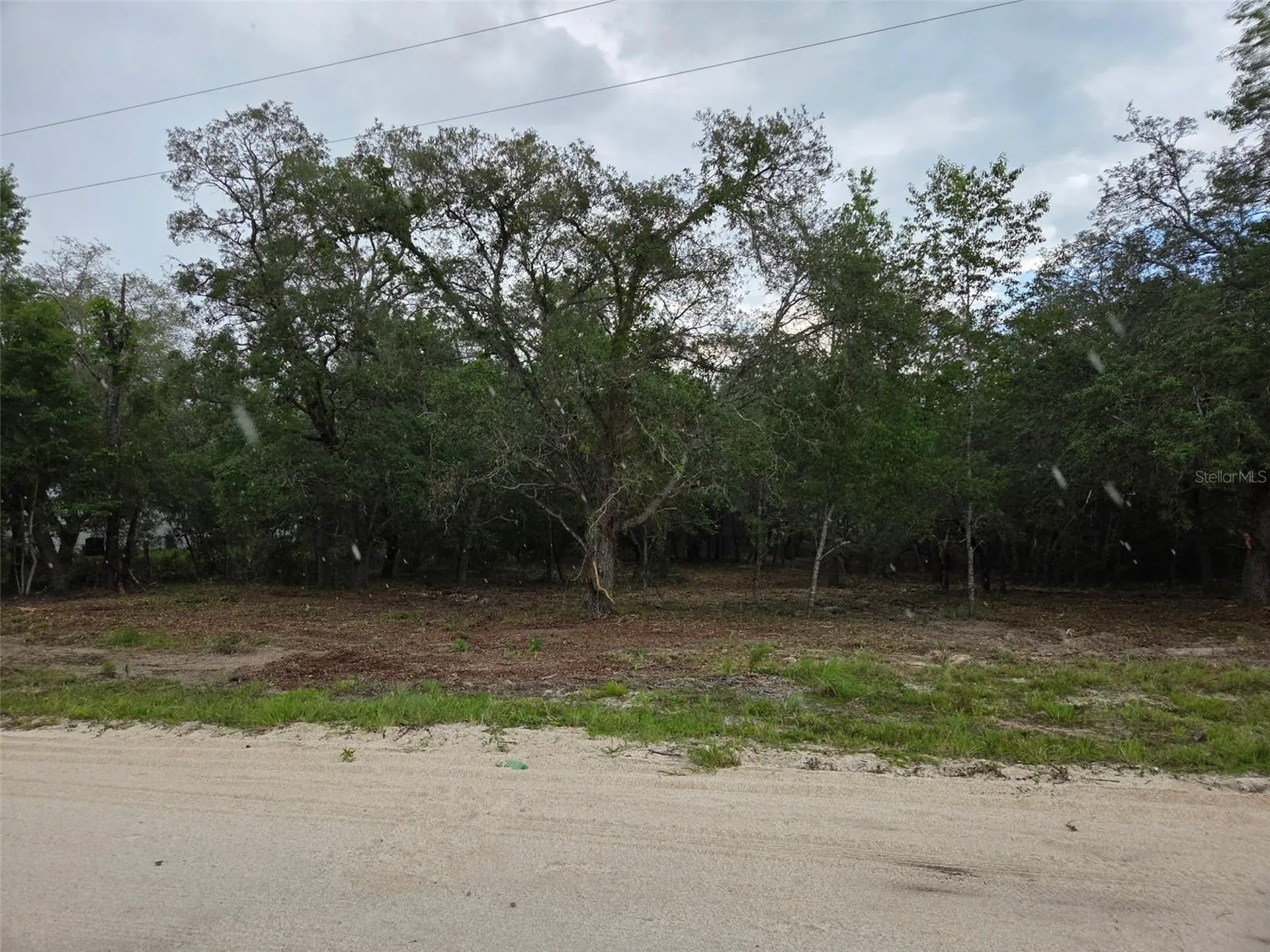 21531 SE 68th Lane Morriston FL 32668