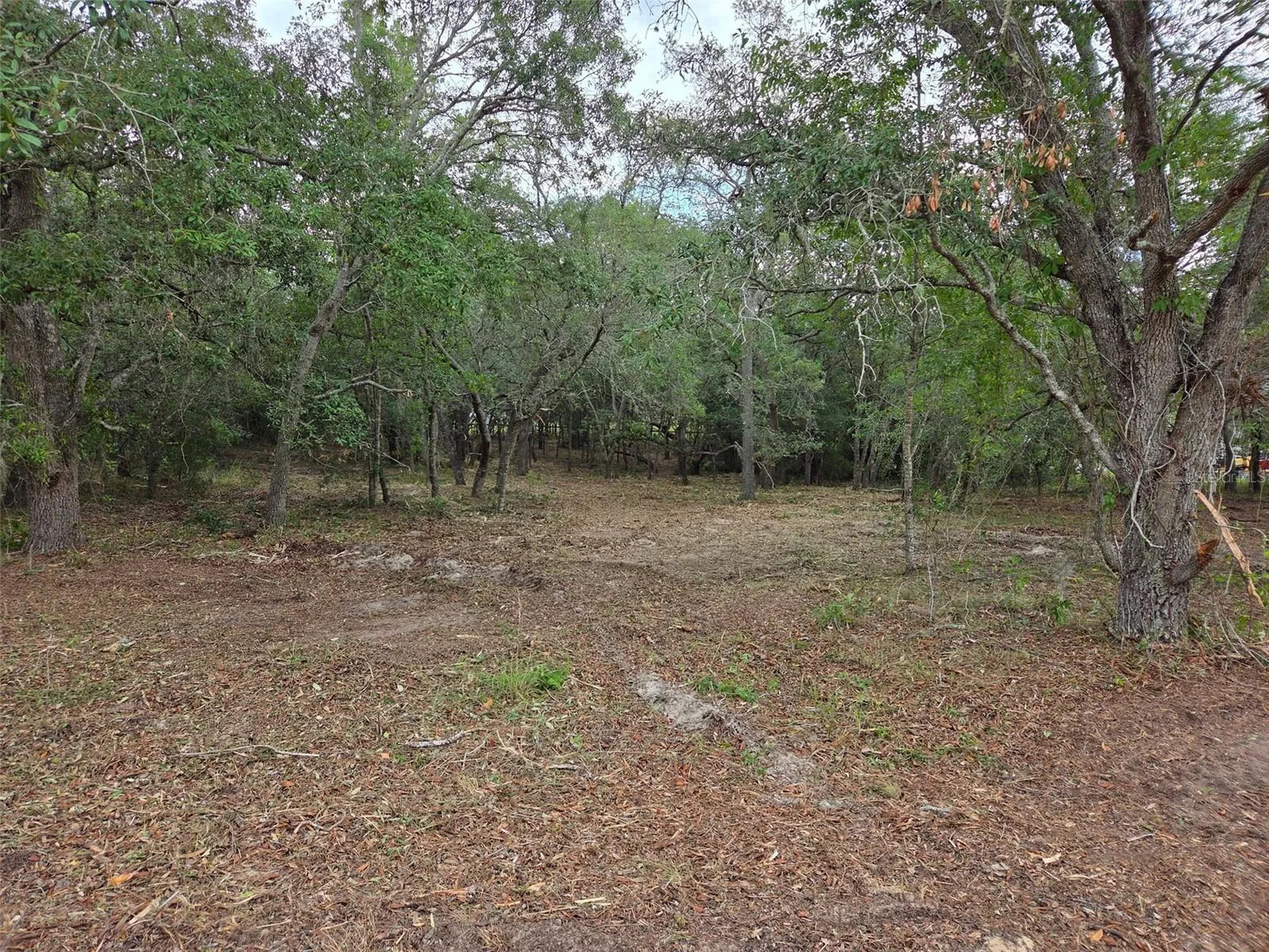 21531 SE 68th Lane Morriston FL 32668