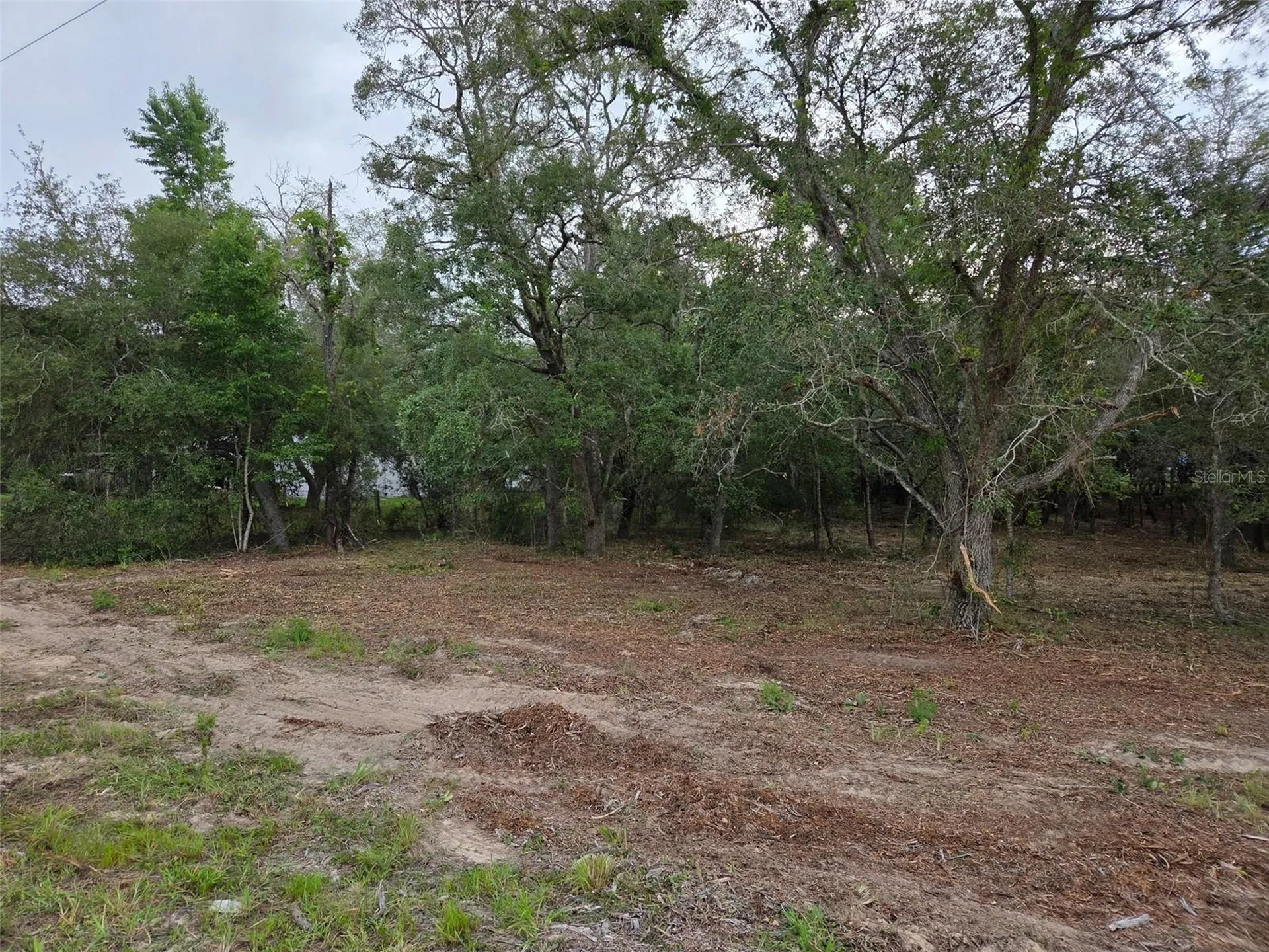 21531 SE 68th Lane Morriston FL 32668