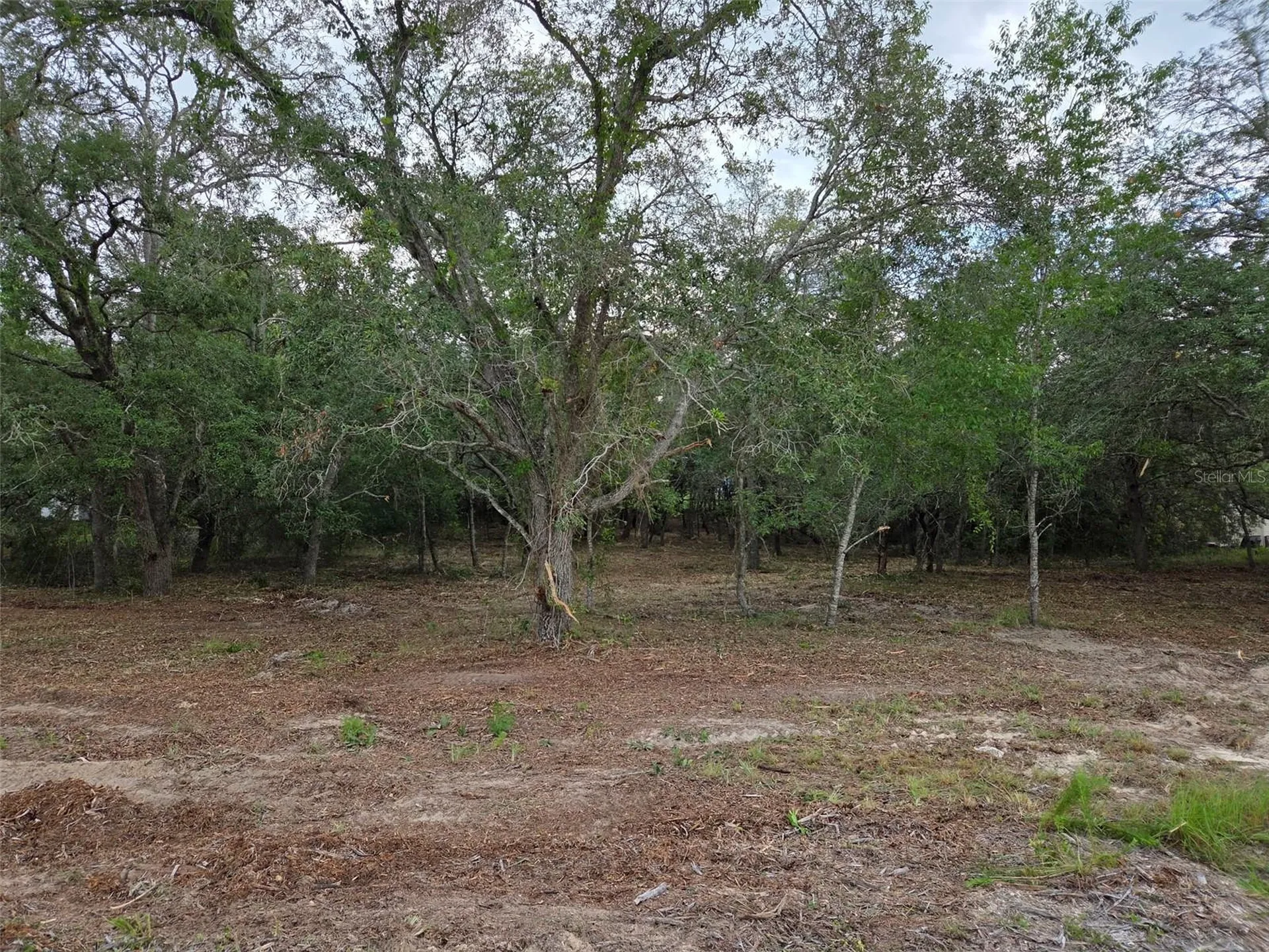 21531 SE 68th Lane Morriston FL 32668