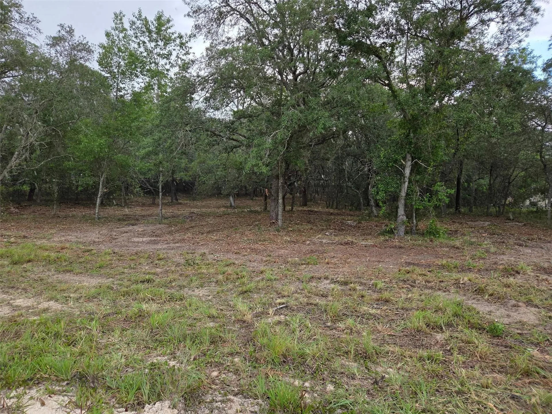 21531 SE 68th Lane Morriston FL 32668