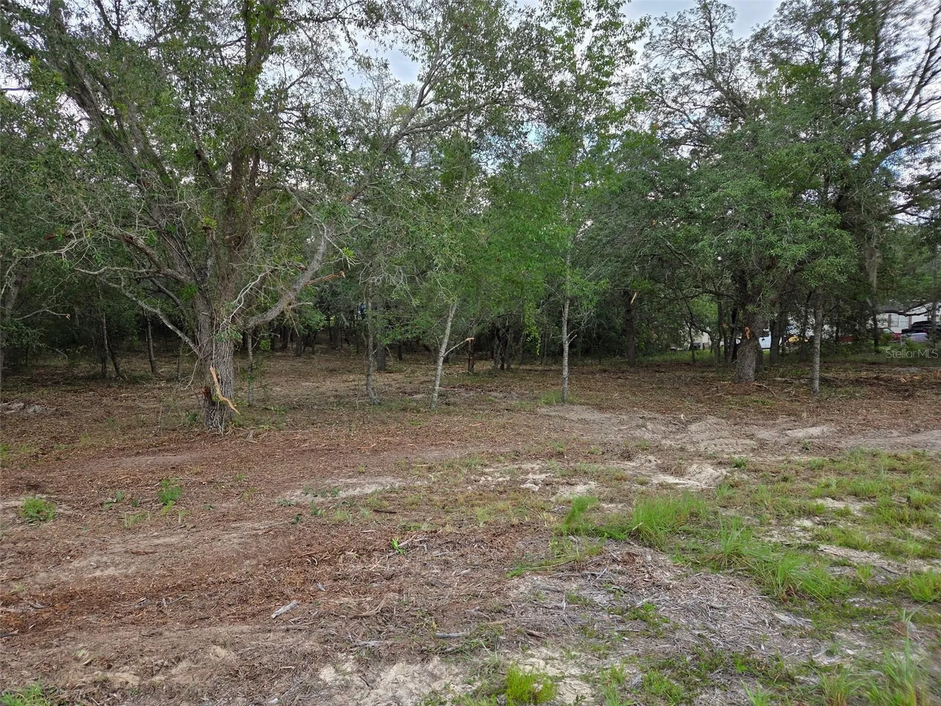 21531 SE 68th Lane Morriston FL 32668