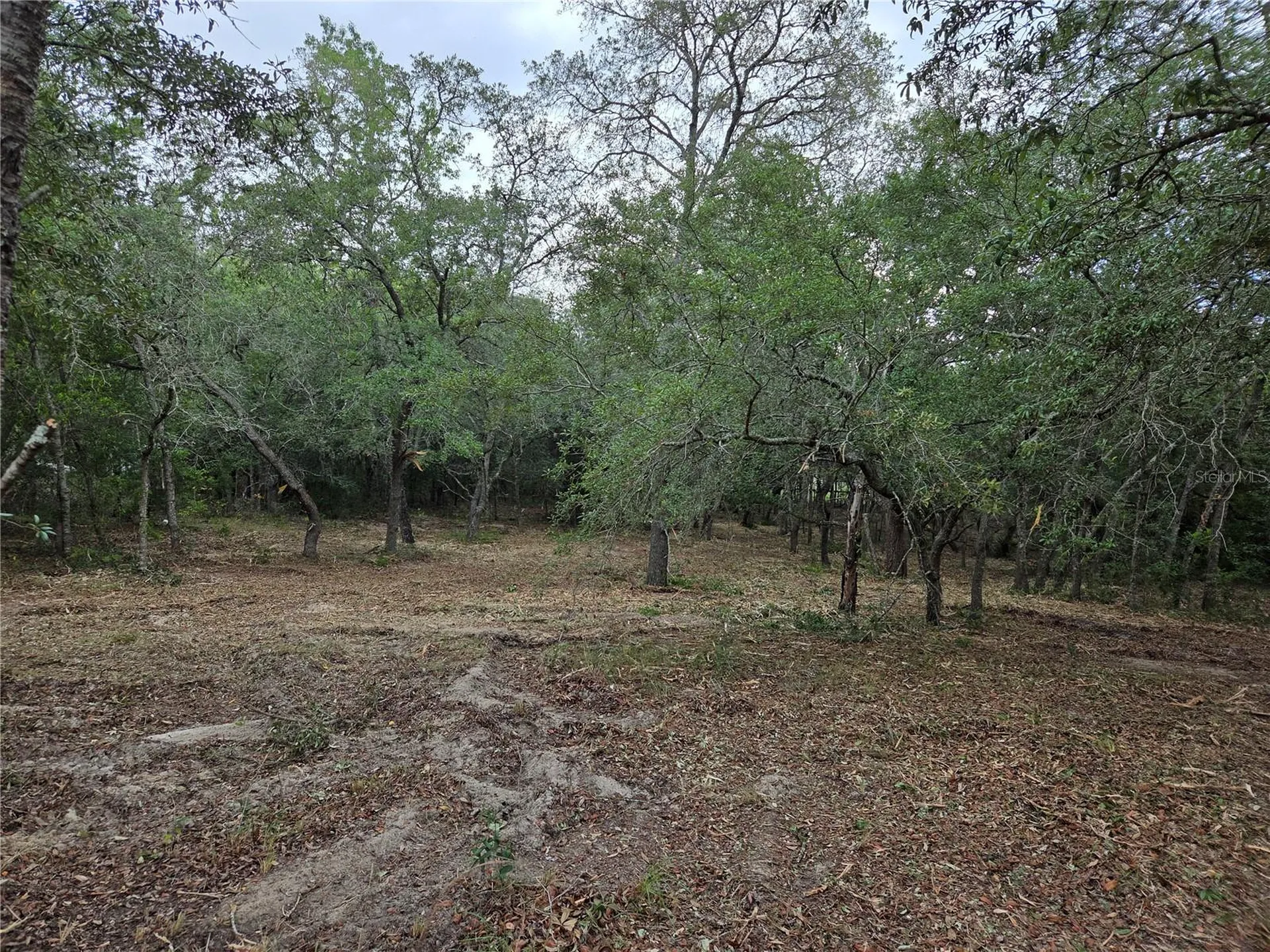 21531 SE 68th Lane Morriston FL 32668