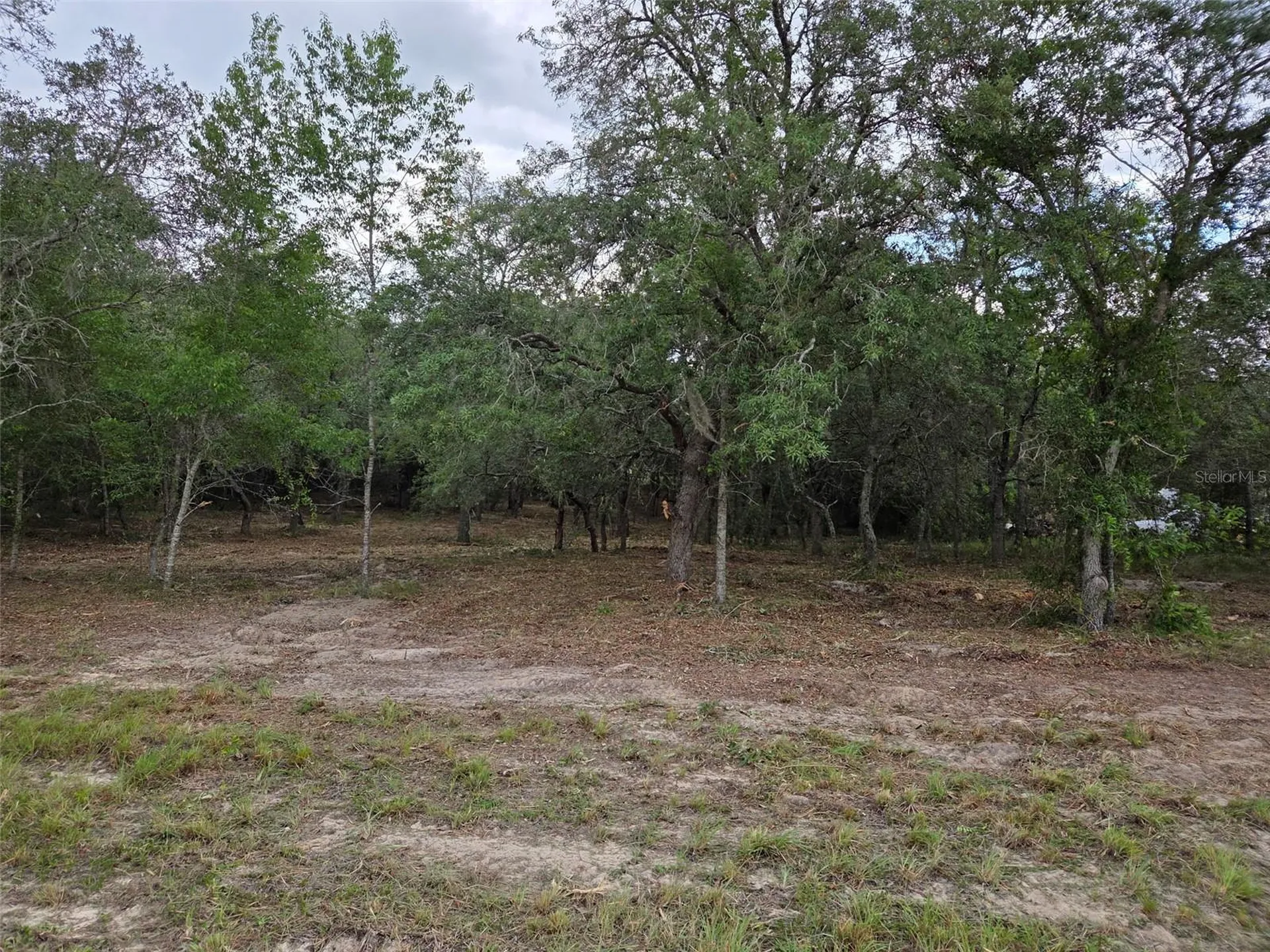 21531 SE 68th Lane Morriston FL 32668